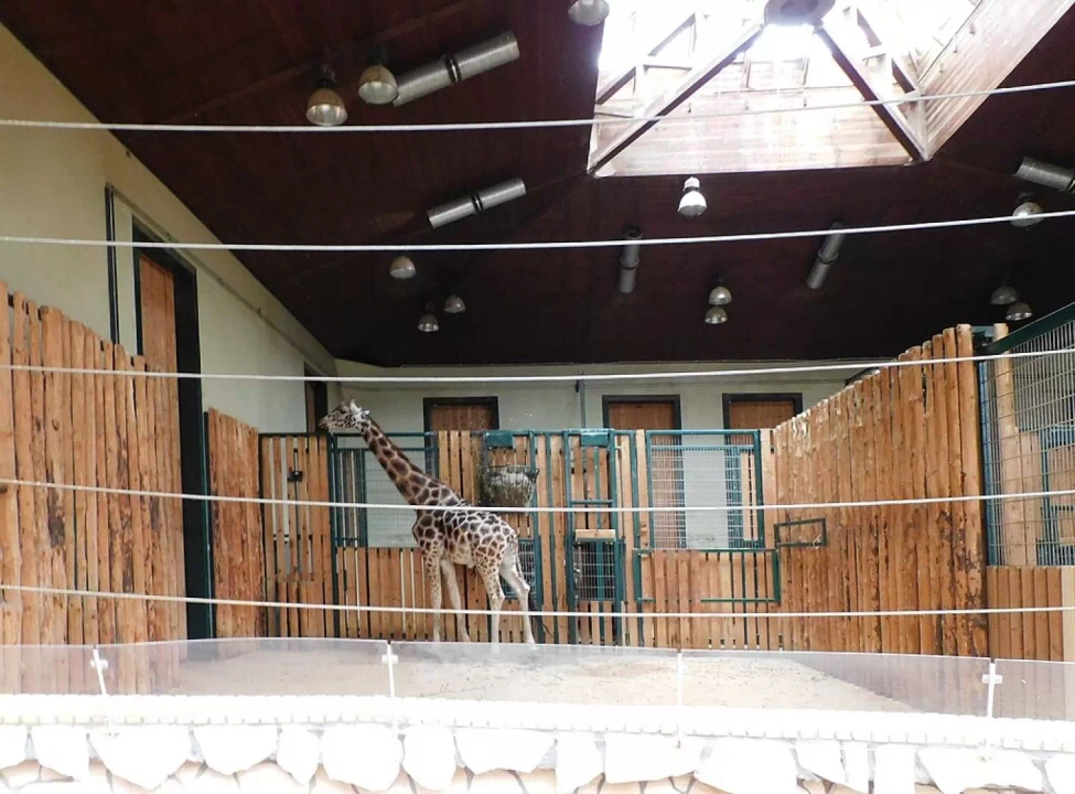 Gdański Ogr&oacute;d Zoologiczny