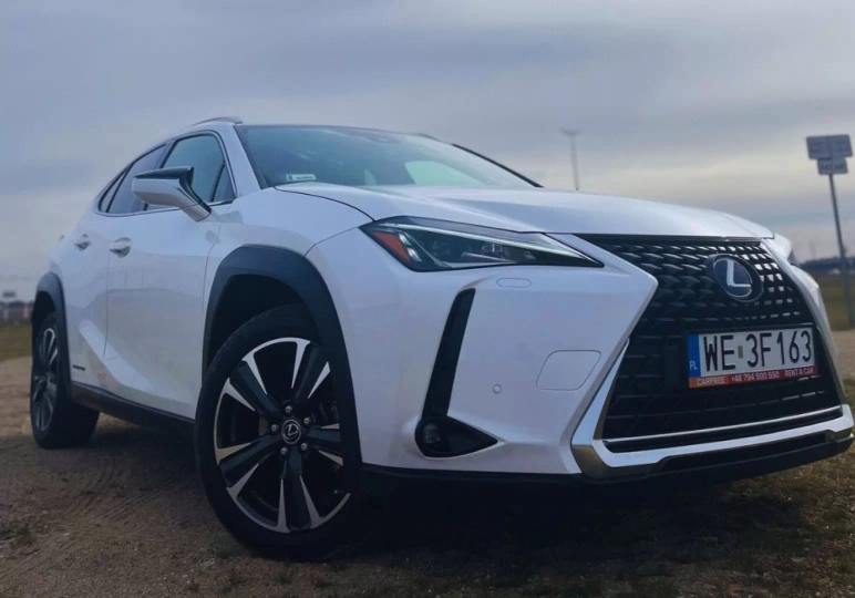 Car rental Rzeszow / fot. CarFree