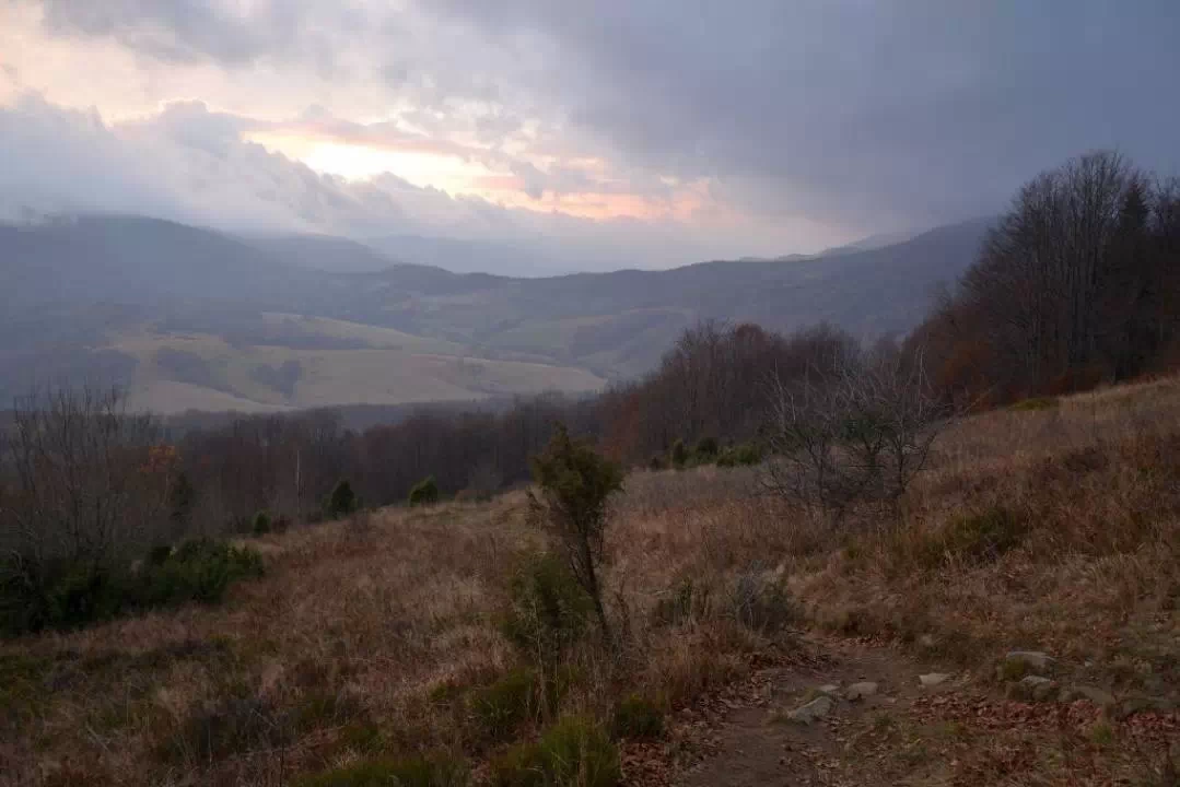 Bieszczady - widok z Połoniny Caryńskiej