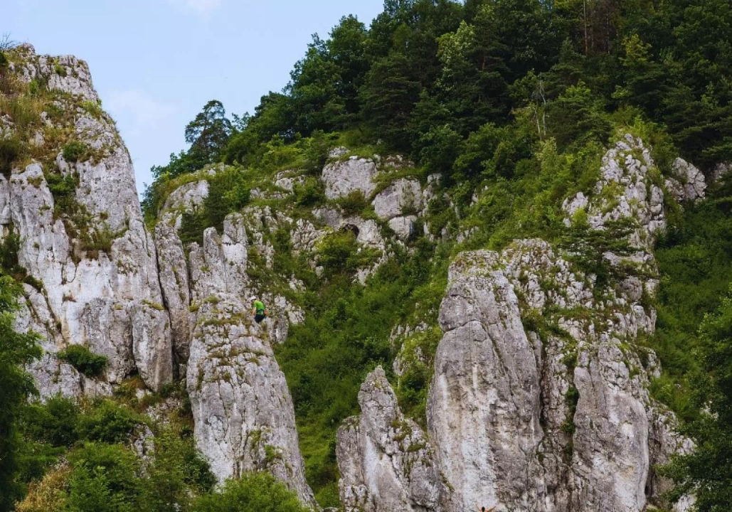 Dolinka Krakowska Brama Bolechowicka