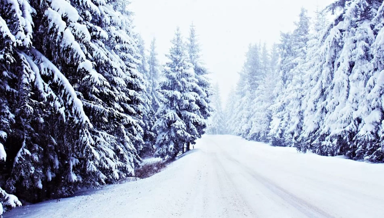 Ośnieżony leśny krajobraz w Bukowinie Tatrzańskiej