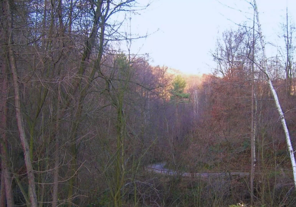 Dolina Nielepicka widok