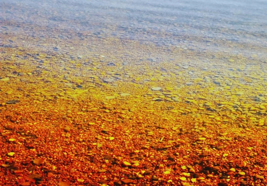 Czechy Kamencove jezioro / fot. Canva.com