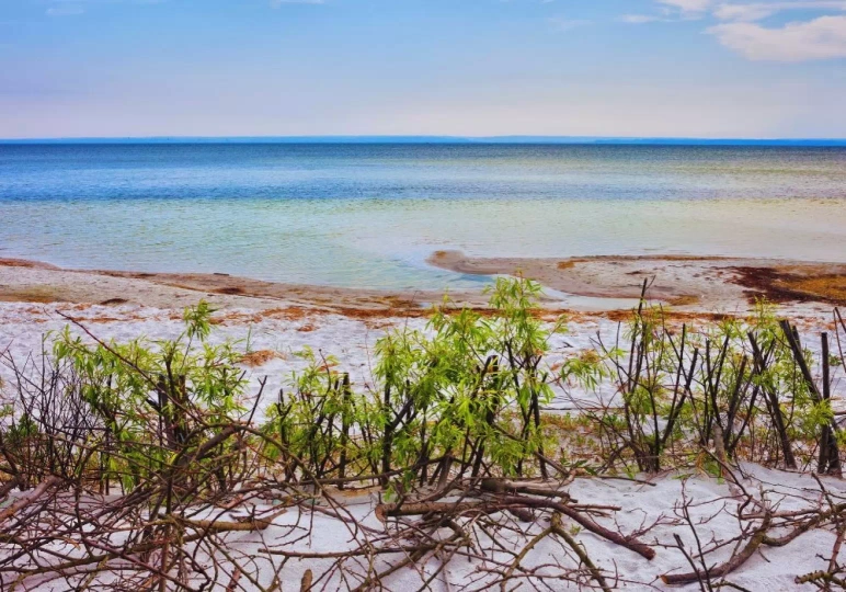 Plaża w Jastarni / fot. Canva.com
