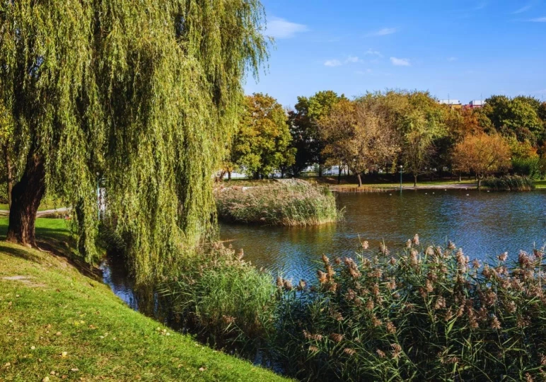 Samoch&oacute;d na wynajem Warszawa Ochota