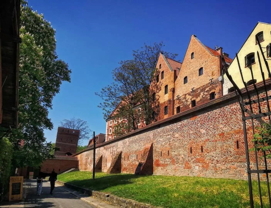 Rozgległe mury miejskie z czerwonej cegły, kt&oacute;re mieszczą się w Toruniu