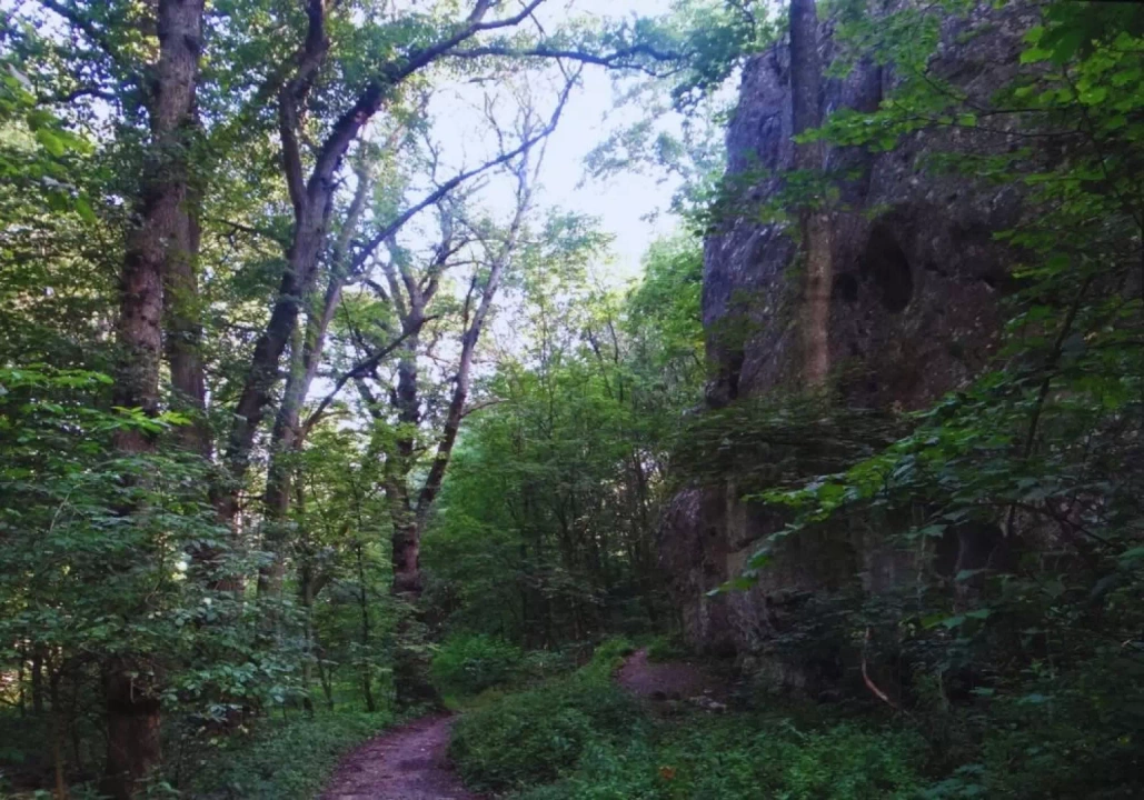 Wielka skała, Dolinka Podskalańska