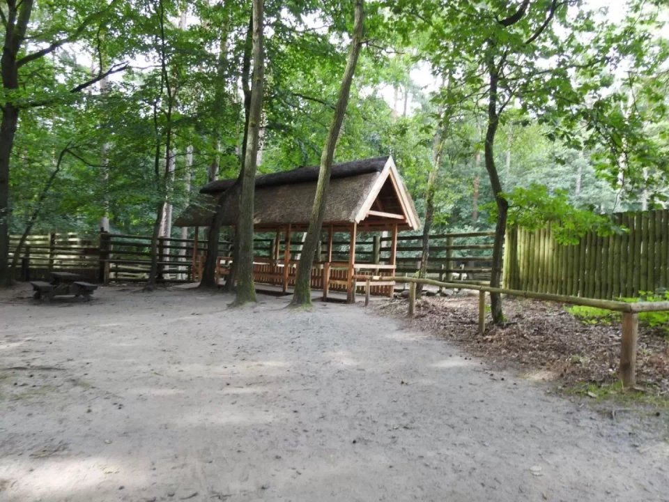 Woliński Park Narodowy