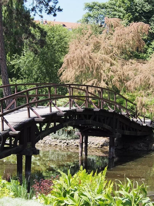 Ogr&oacute;d Botaniczny Uniwersytetu Wrocławskiego