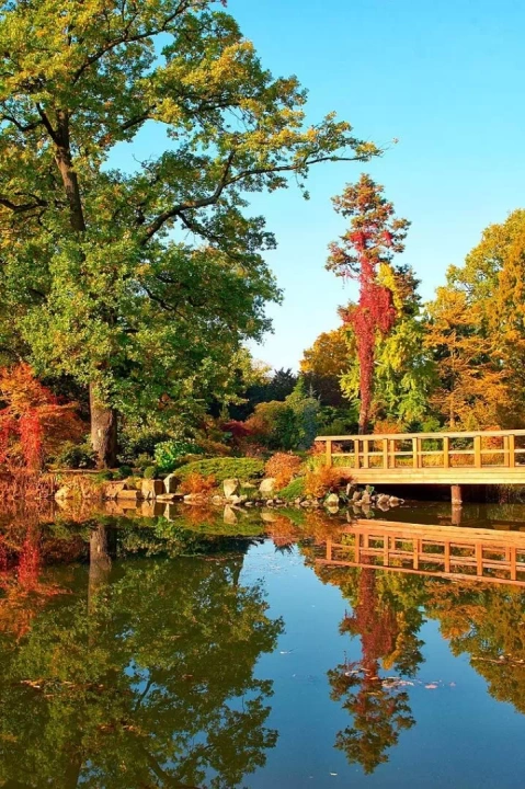 Ogr&oacute;d Japoński we Wrocławiu