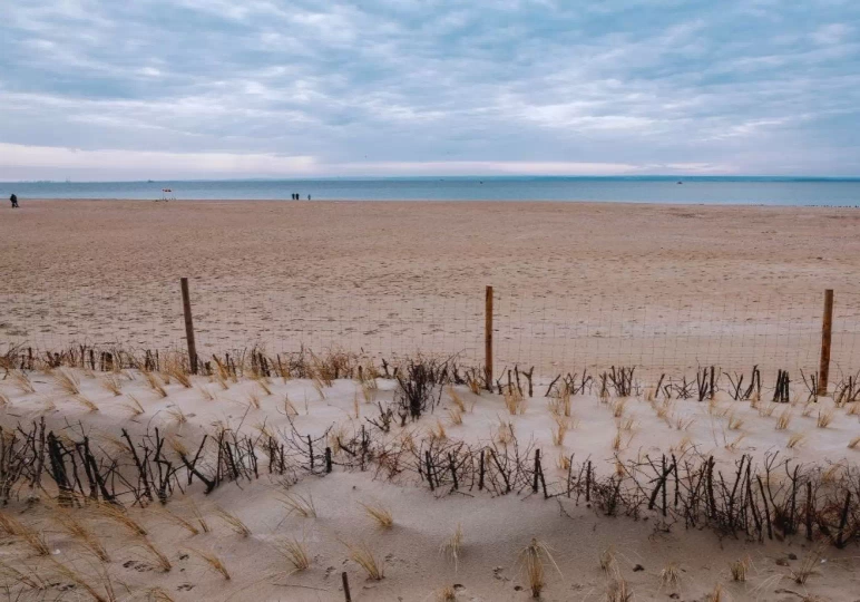 Wydmy na Helu / fot. Canva.com