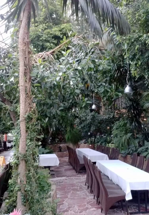 Palmiarnia w Zielonej G&oacute;rze