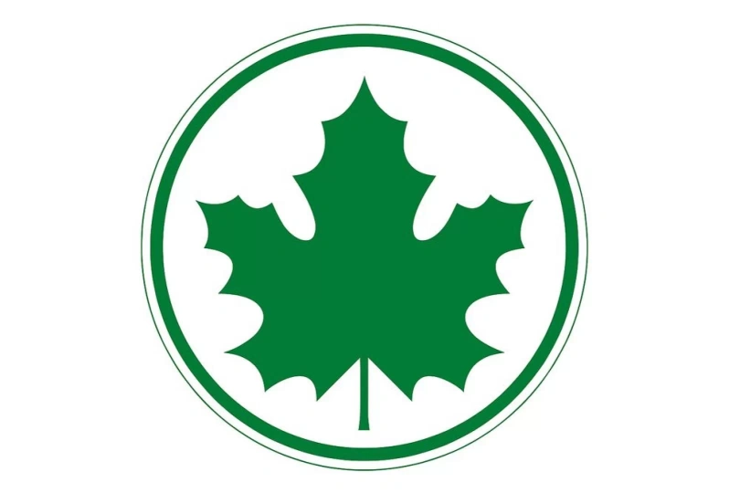 Młodociany kierowca - ograniczenia i obowiązki / fot. Chat GPT