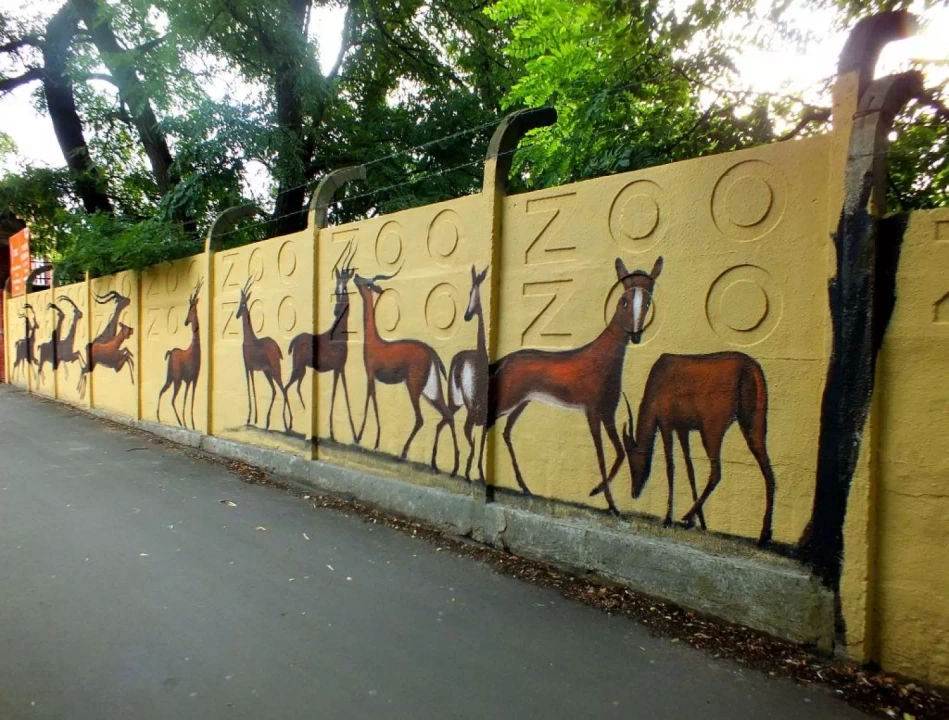 Mural w Zoo we Wrocławiu